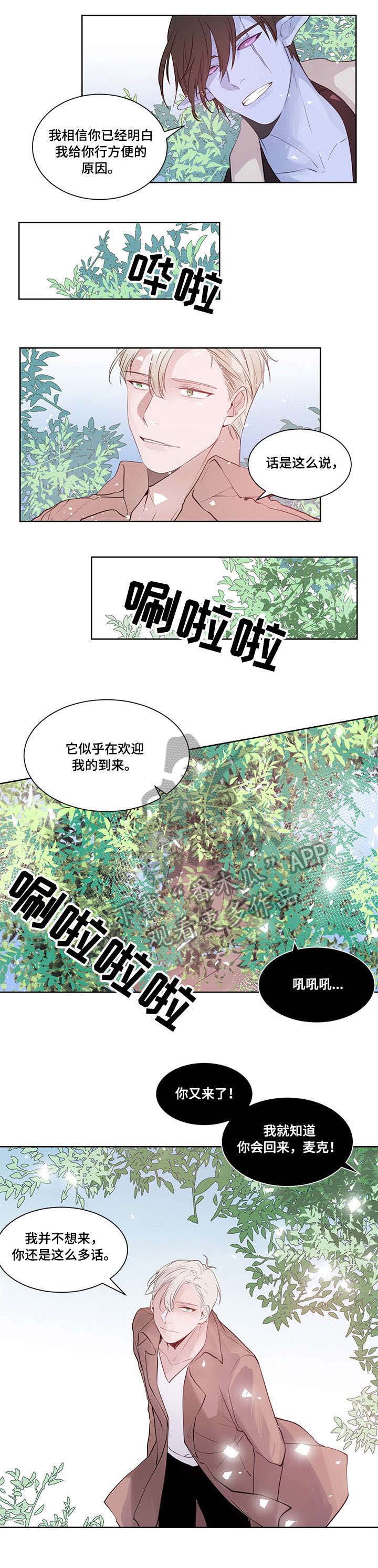 梦游精灵第14话图