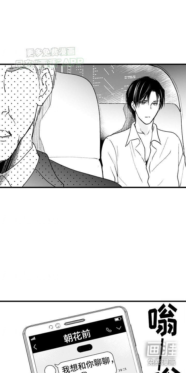 猫猫只想爱你第16话图