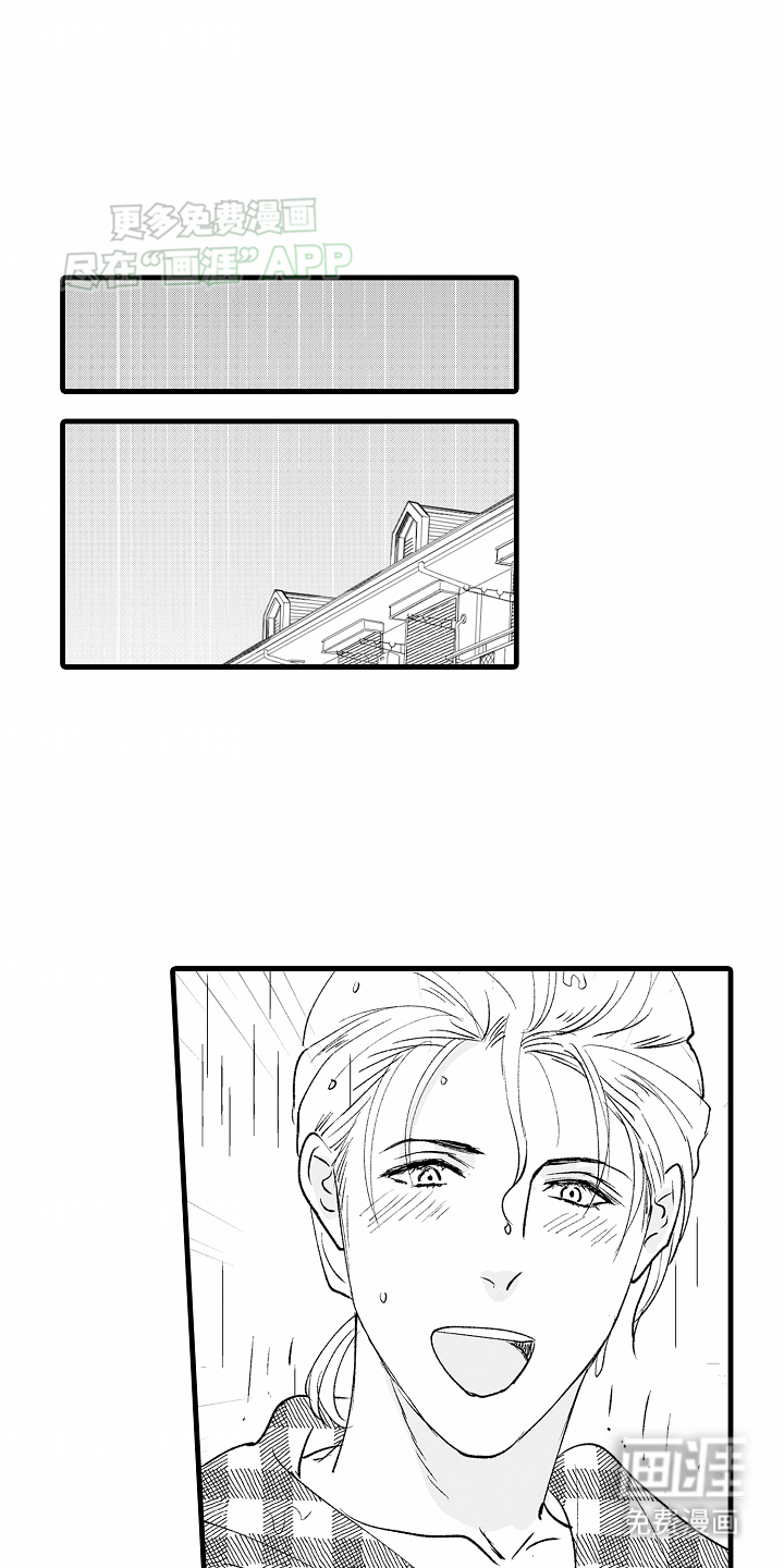 猫猫只想爱你第17话图