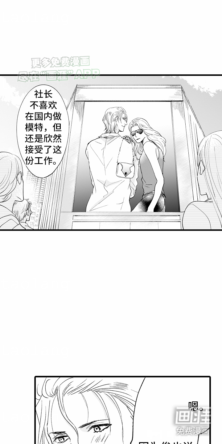 猫猫只想爱你第19话图