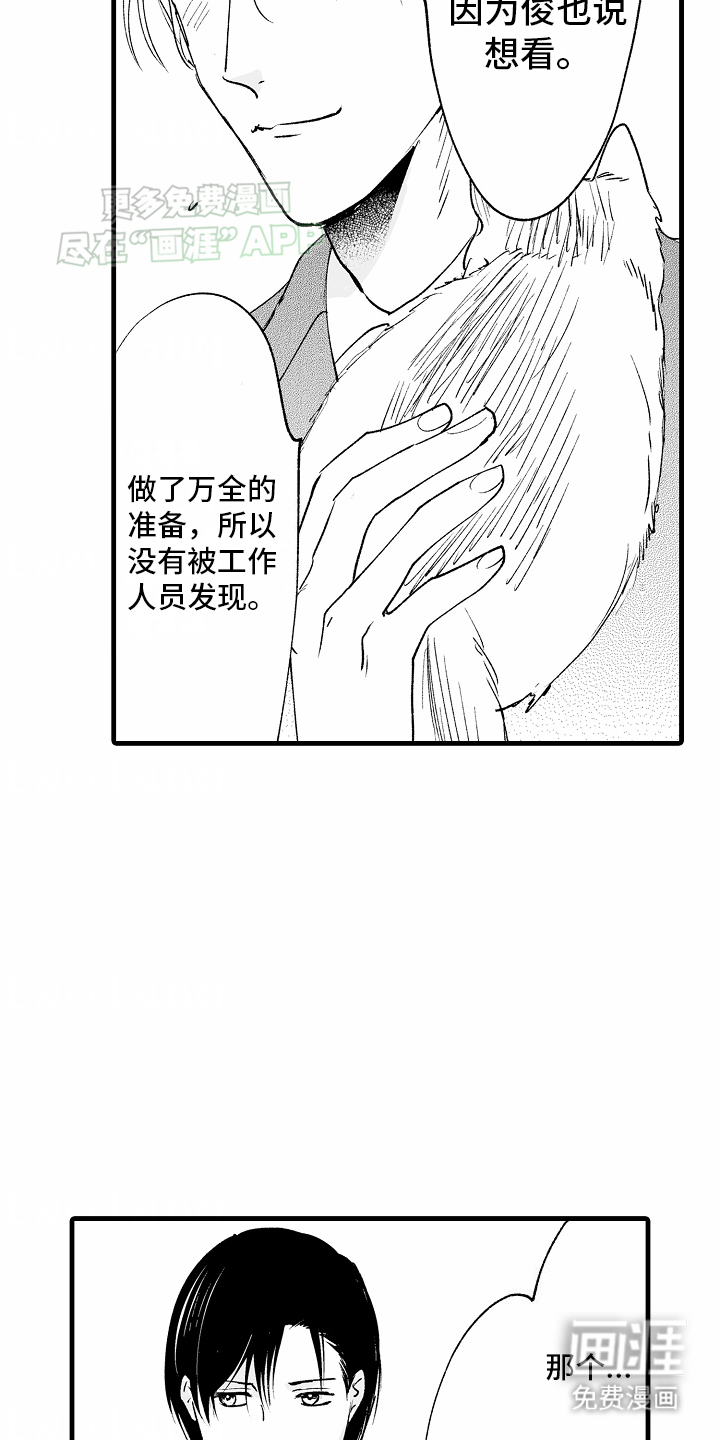 猫猫只想爱你第19话图