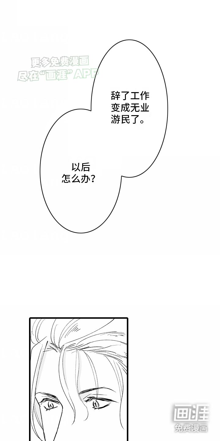 猫猫只想爱你第23话图