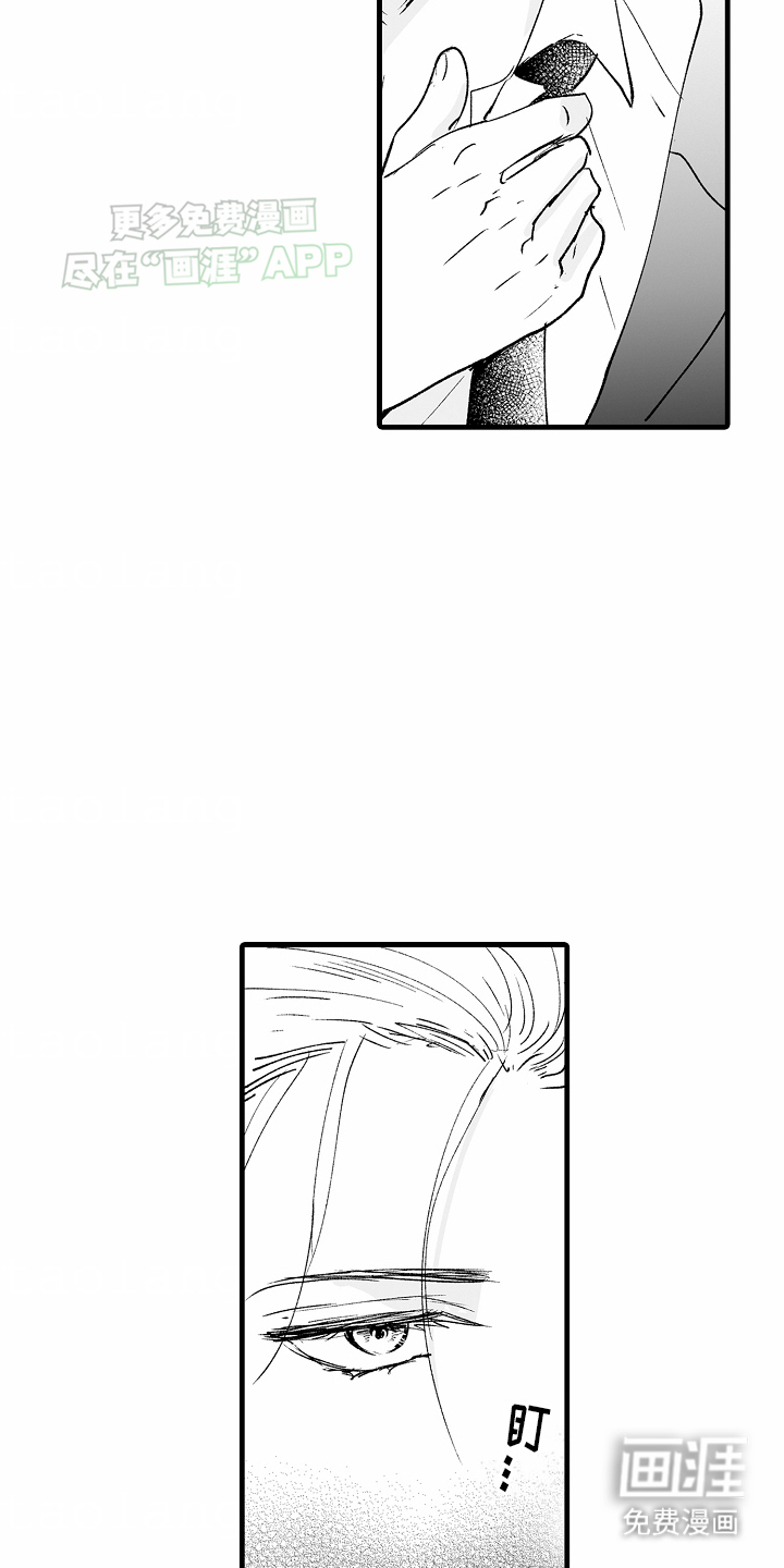 猫猫只想爱你第4话图