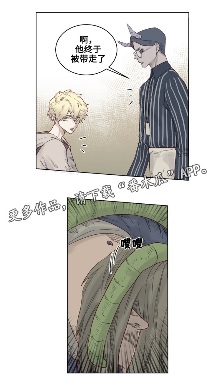 魔法师皮塔第24话图