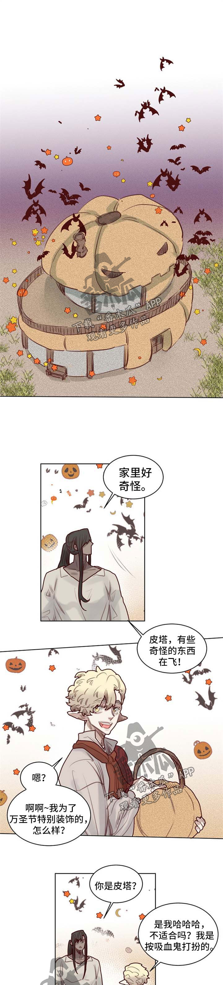 魔法师皮塔第46话图