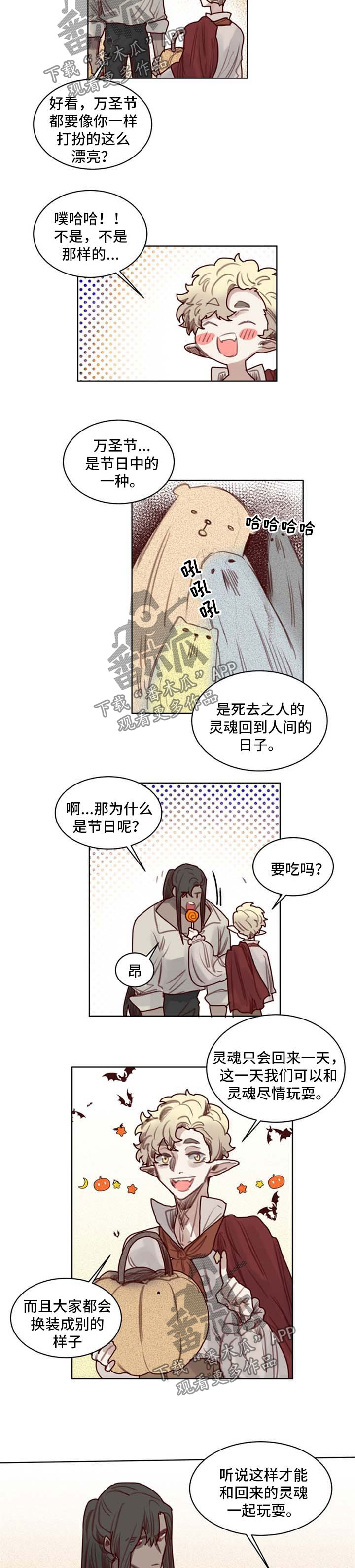 魔法师皮塔第46话图
