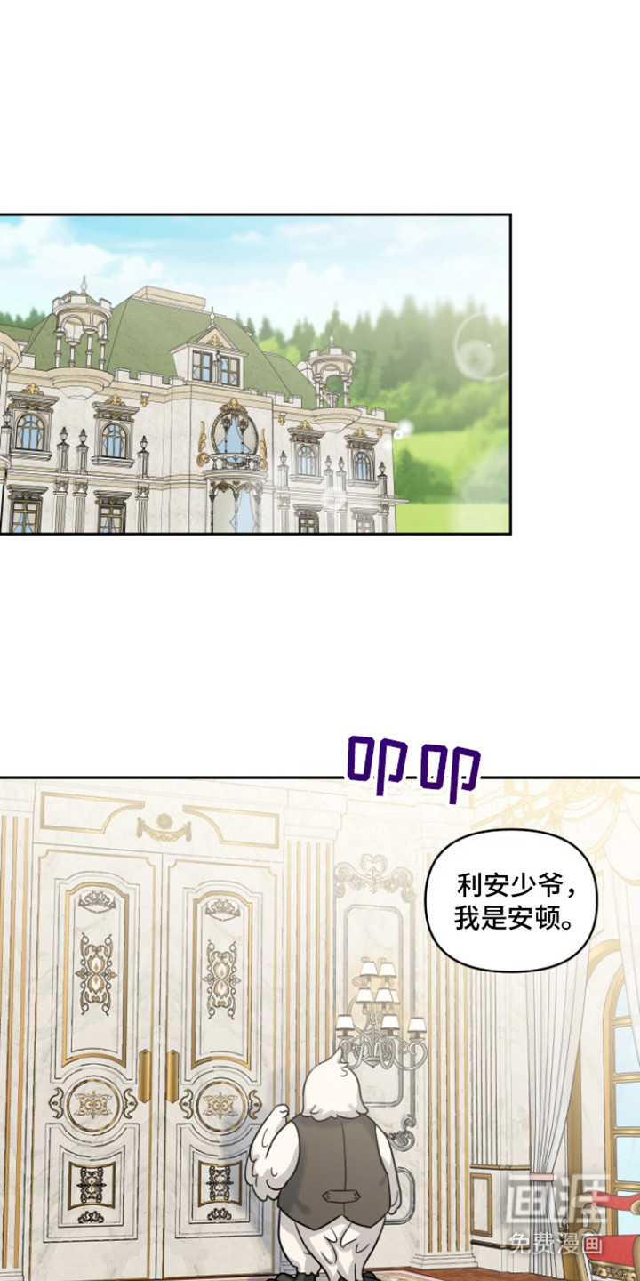 魔法物种第8话图