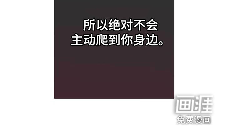 迈入惊险第49话图