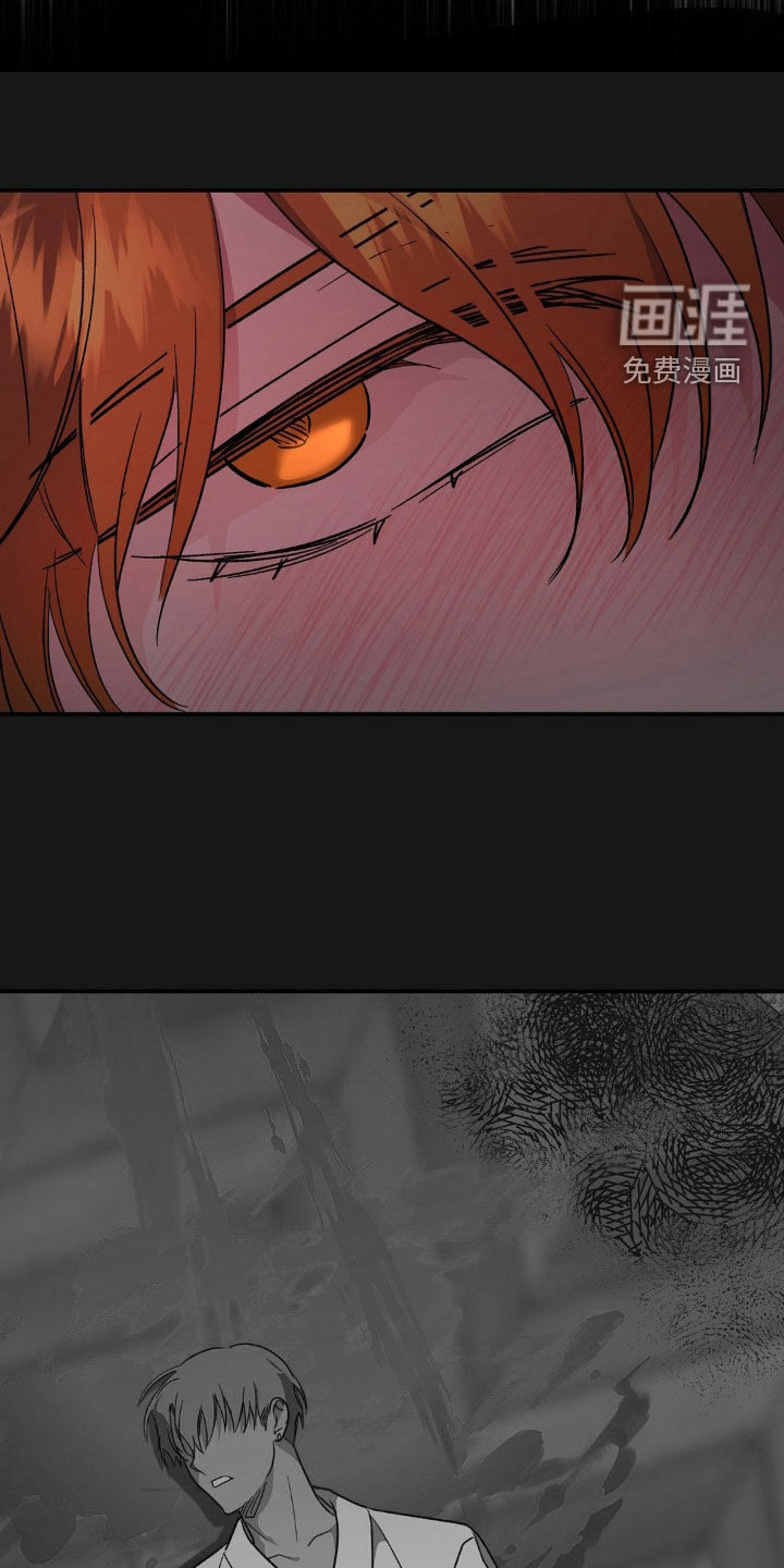 猛兽领域第33话图