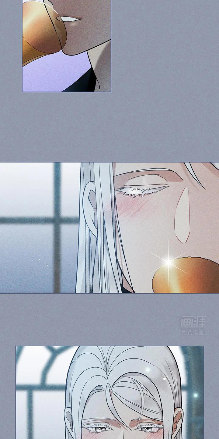 魔塔契约第14话图