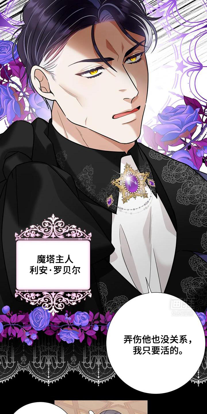 魔塔契约第15话图