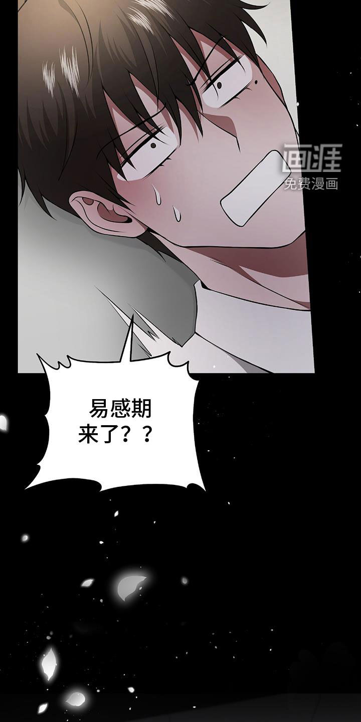 秘书生存指南 第47话 第6页