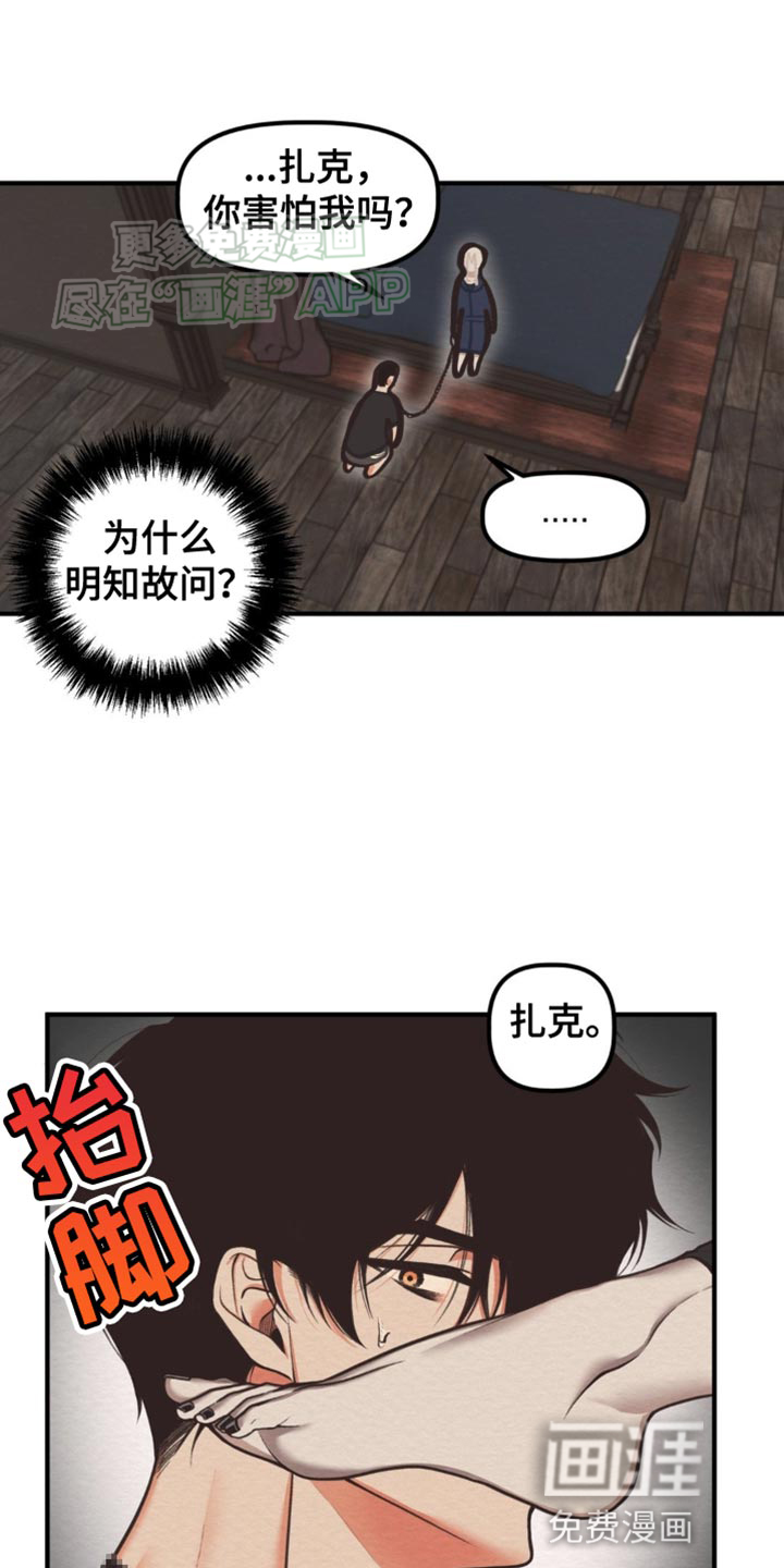 魔塔秘事第15话图