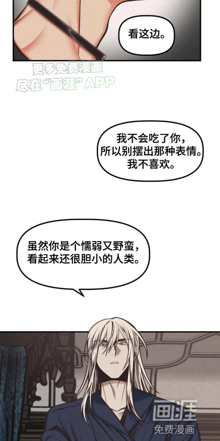 魔塔秘事第15话图