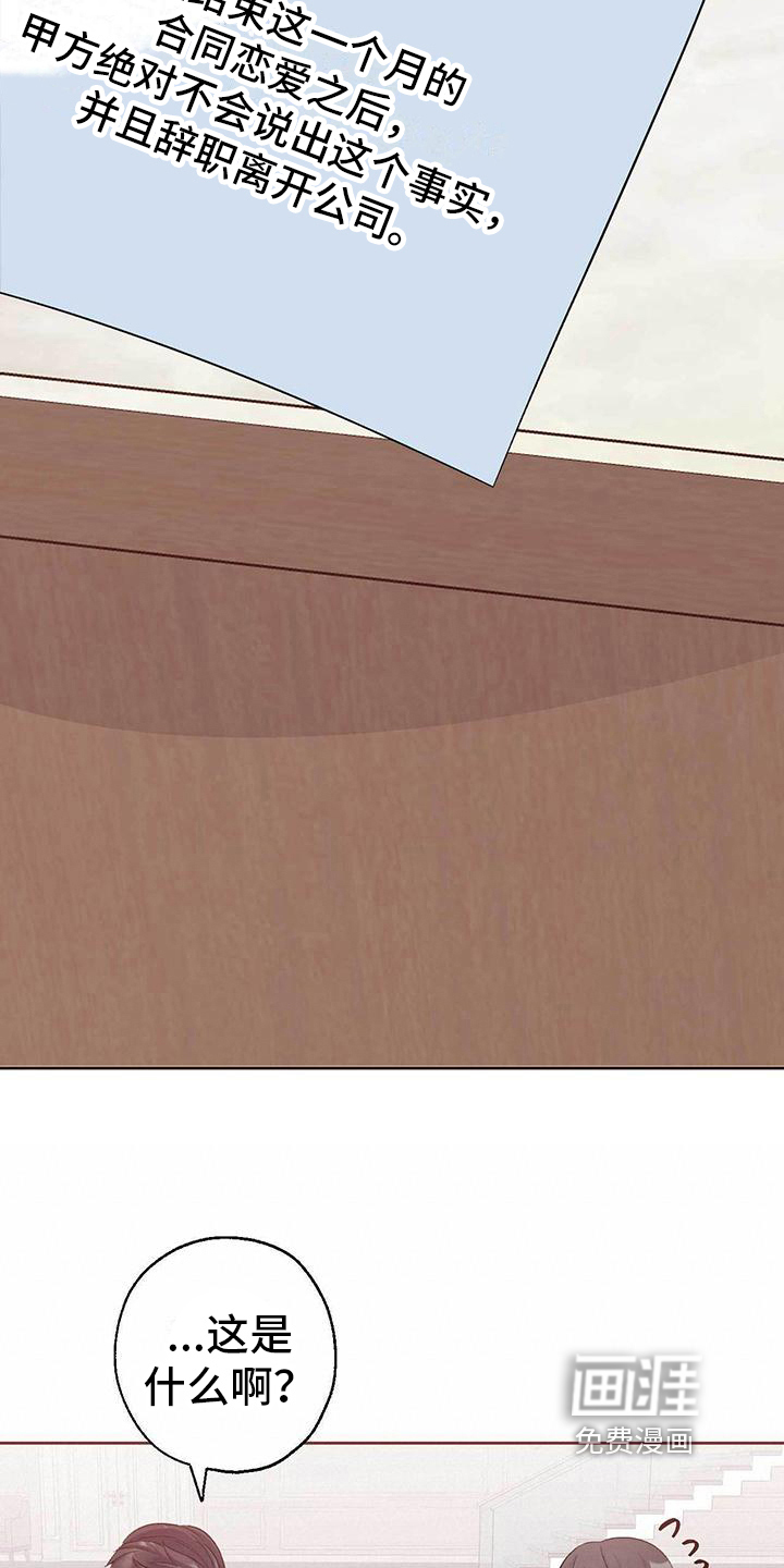 明星合同第11话图