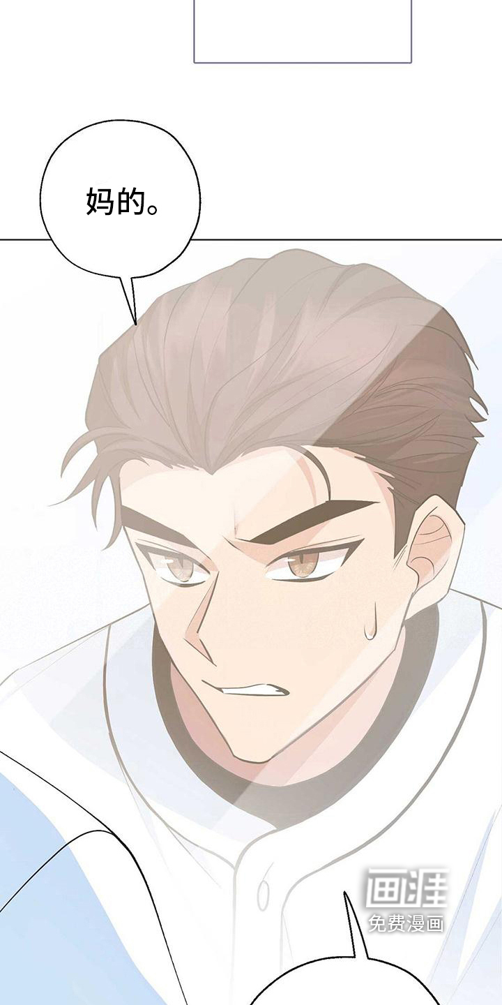 明星合同第15话图