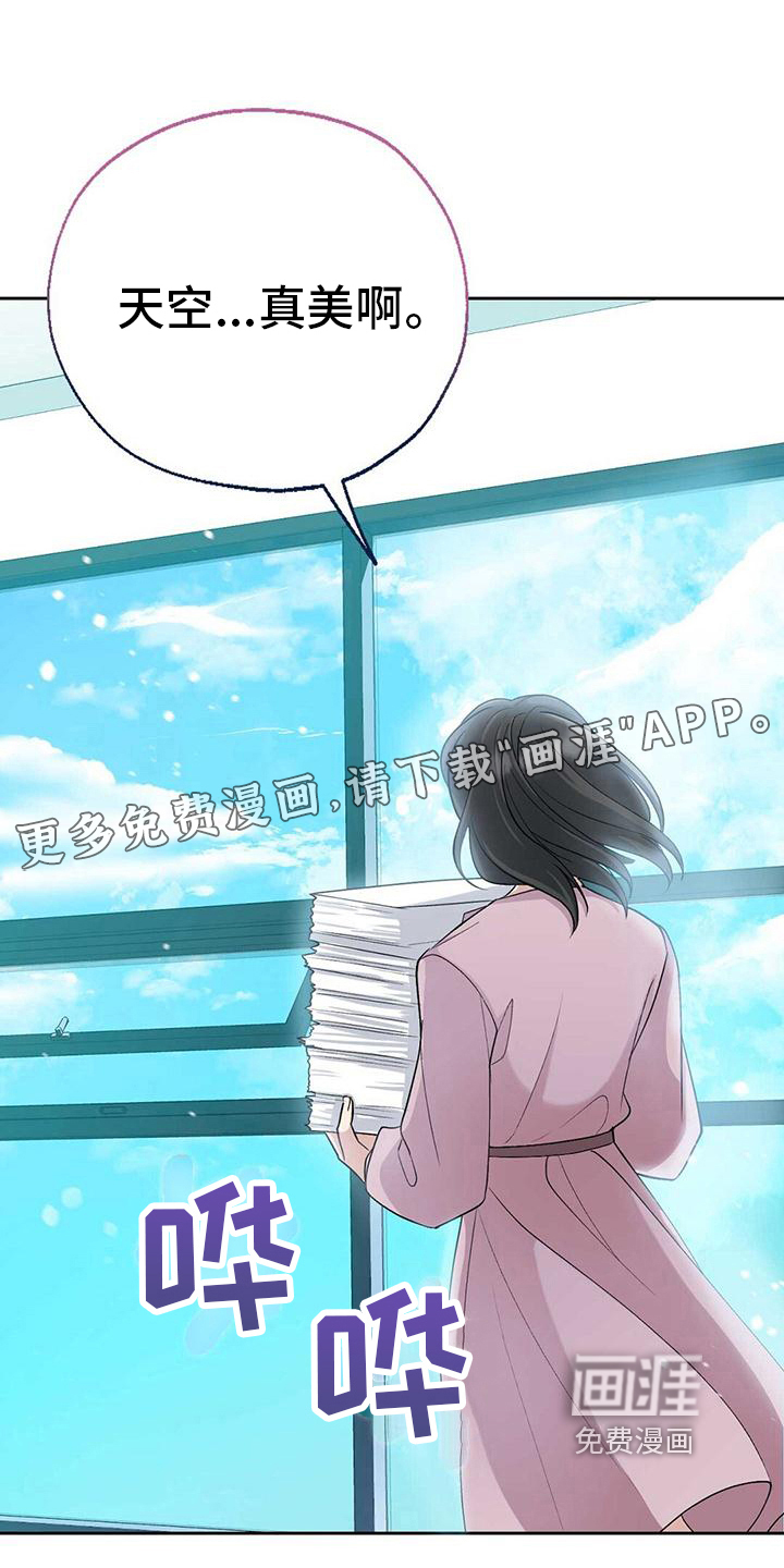 明星合同第5话图