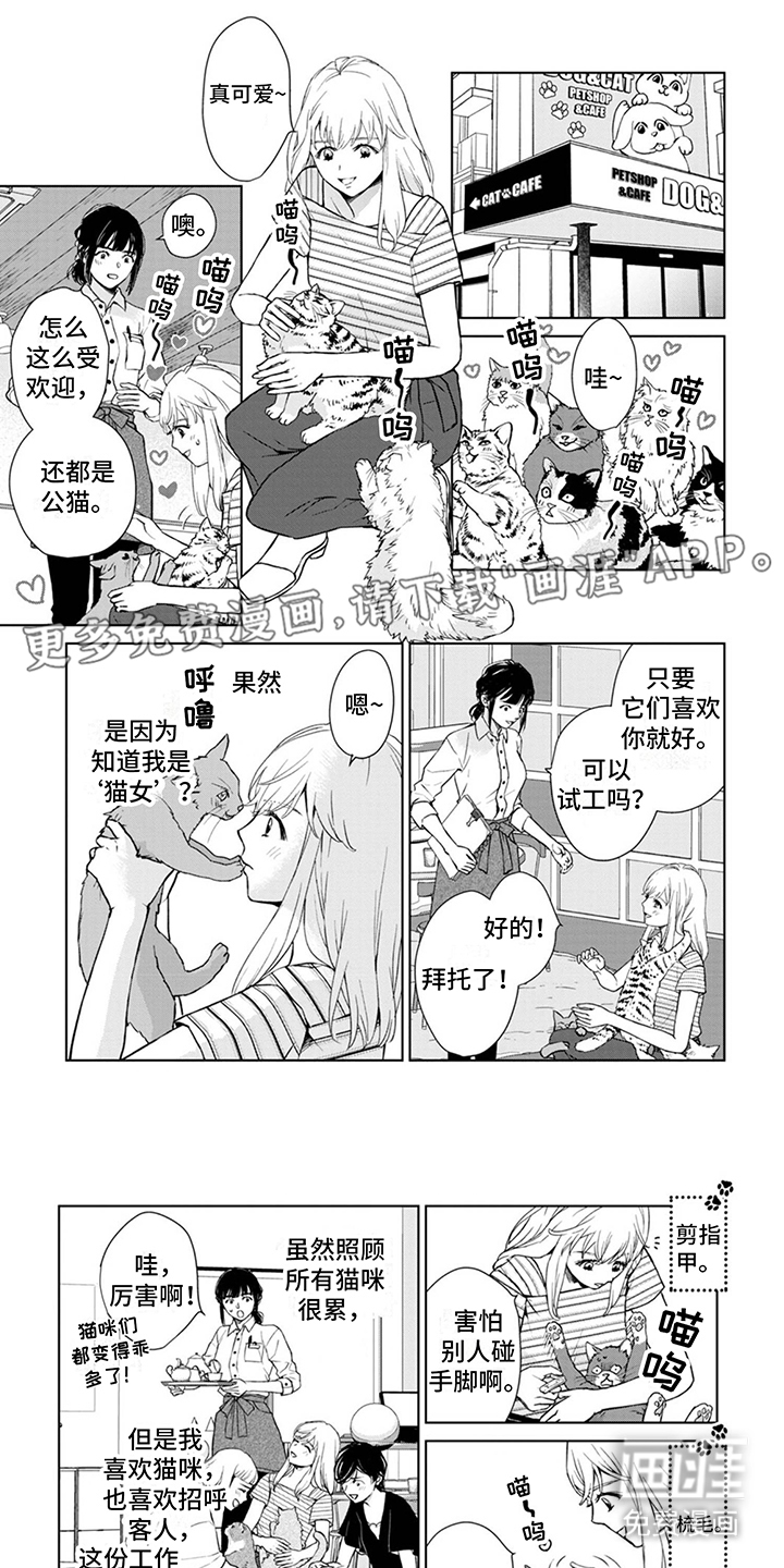 猫女报恩 第11话 第0页
