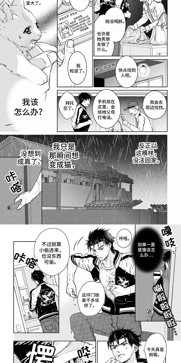 猫女报恩 第2话 第3页