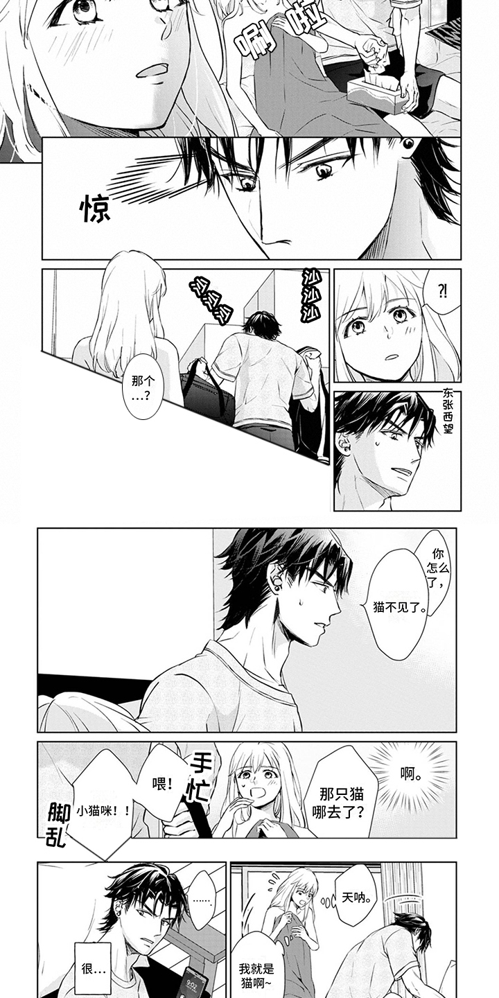 猫女报恩 第3话 第6页