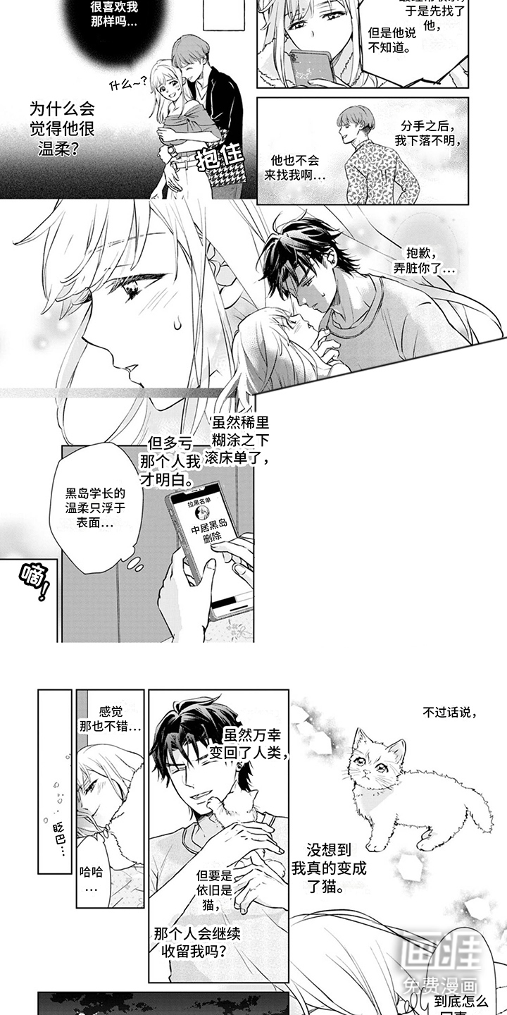 猫女报恩 第4话 第3页