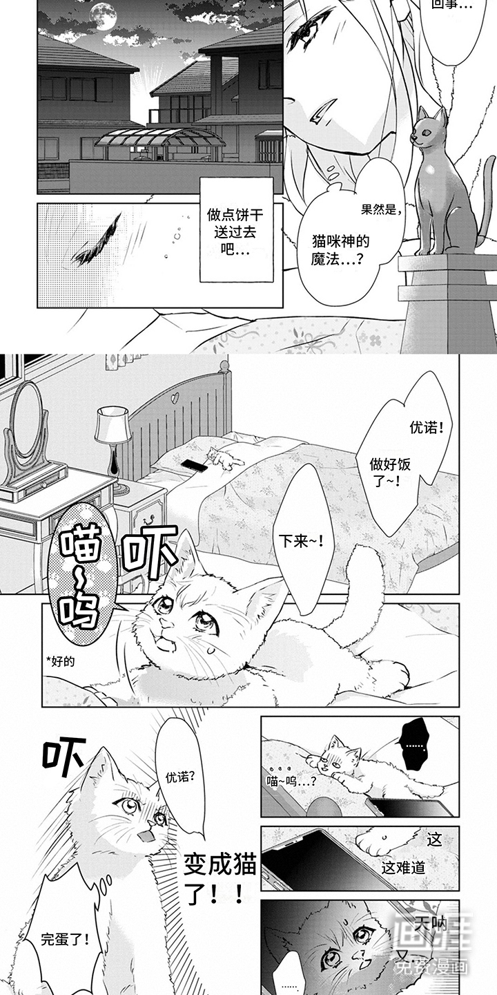 猫女报恩 第4话 第4页