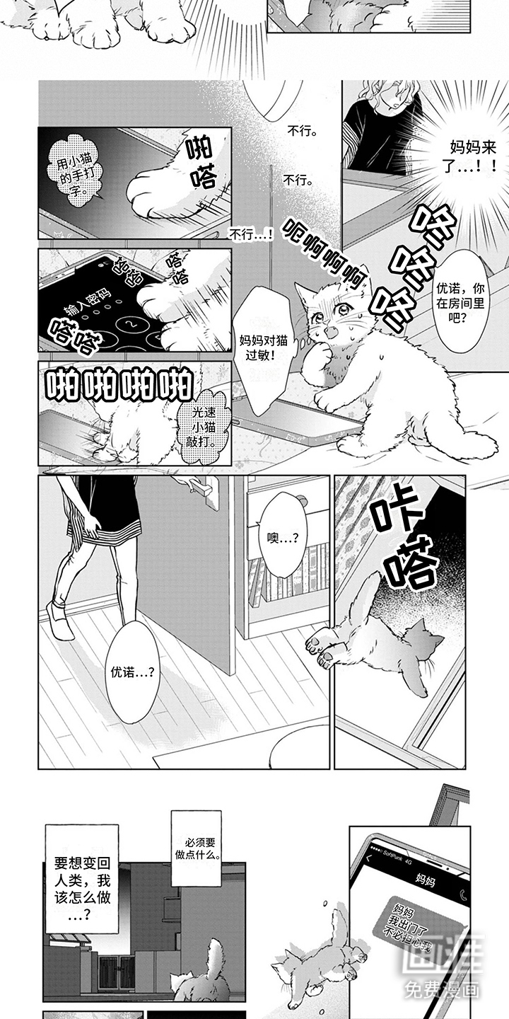 猫女报恩 第4话 第5页