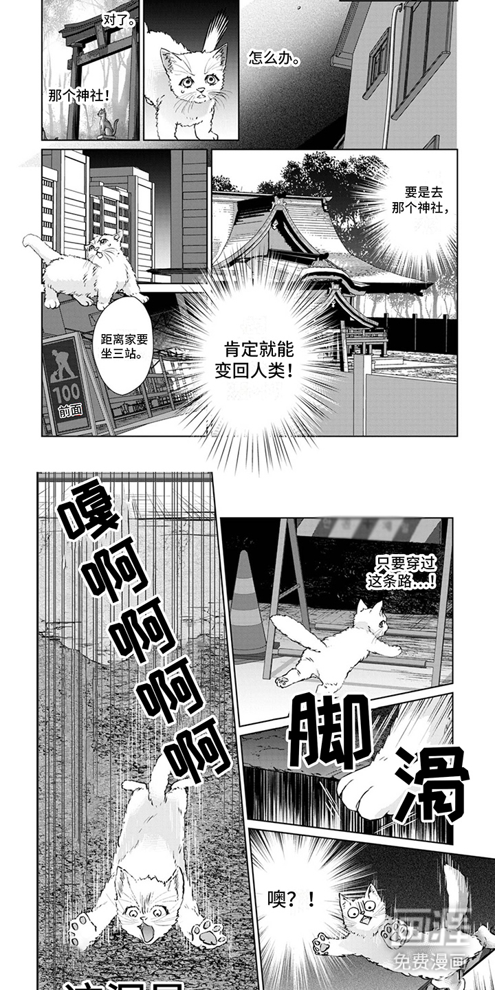 猫女报恩 第4话 第6页