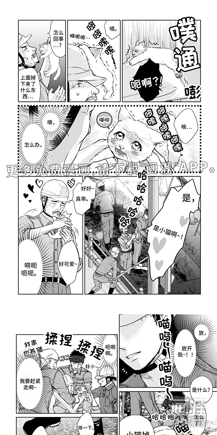 猫女报恩 第5话 第0页