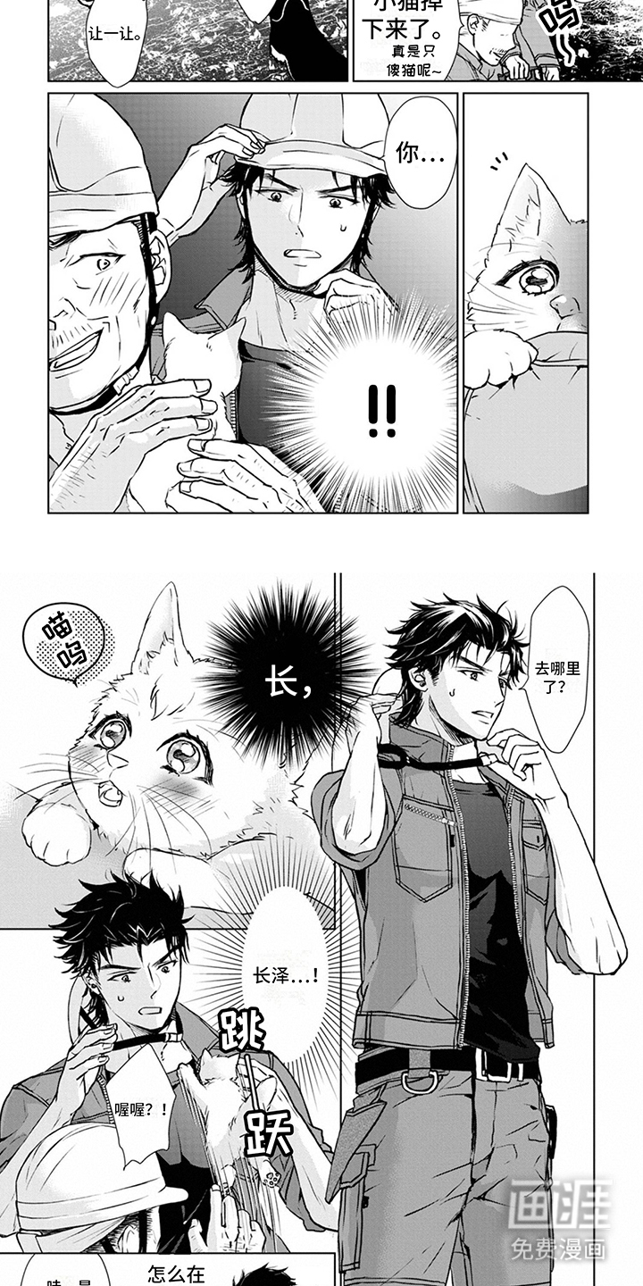 猫女报恩 第5话 第1页