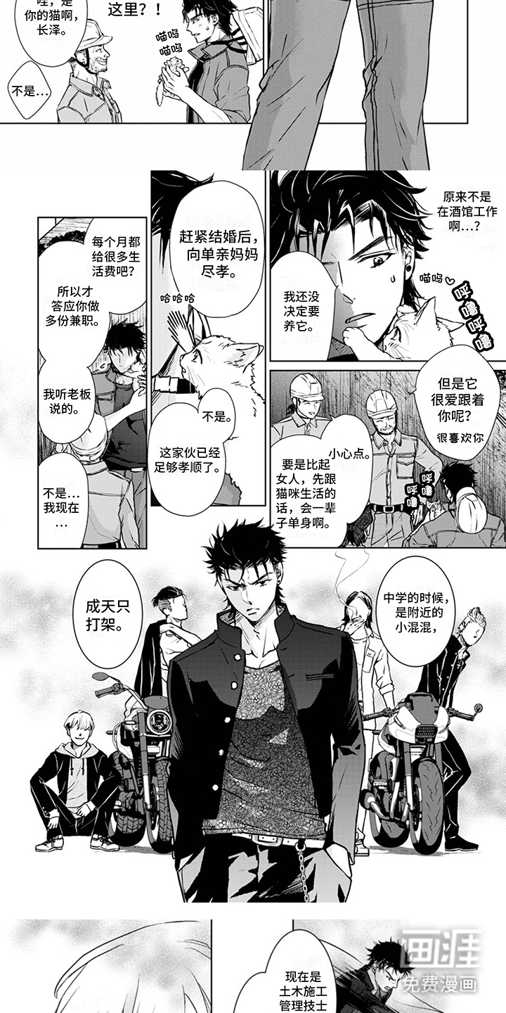 猫女报恩 第5话 第2页