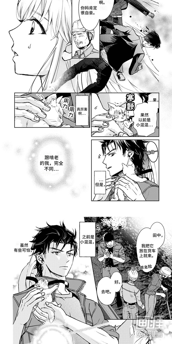 猫女报恩 第5话 第3页