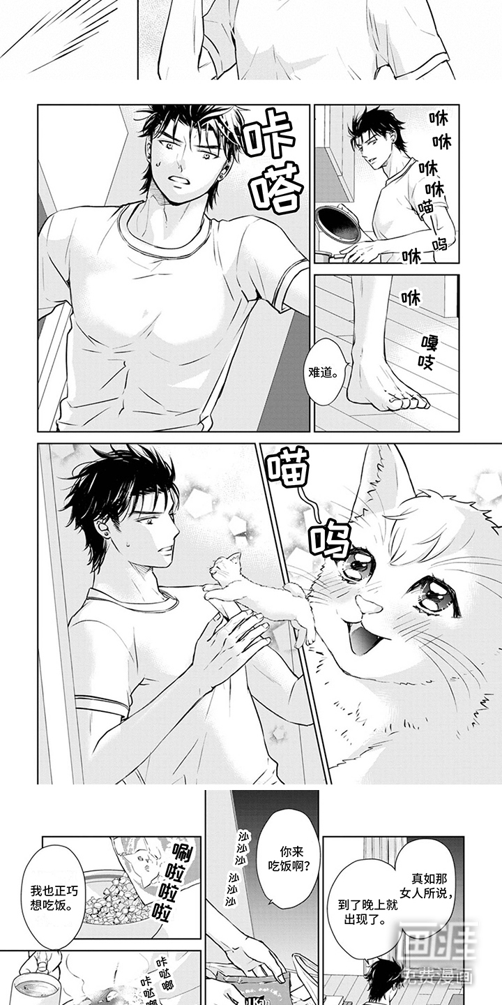 猫女报恩 第8话 第1页