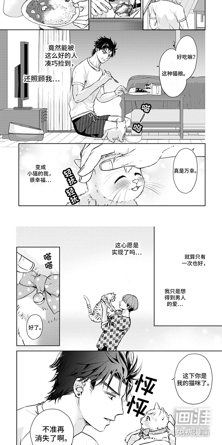 猫女报恩 第8话 第2页