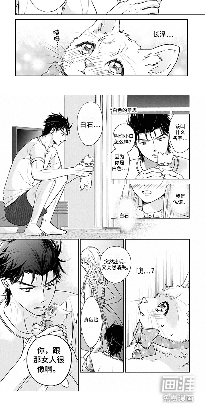 猫女报恩 第8话 第3页