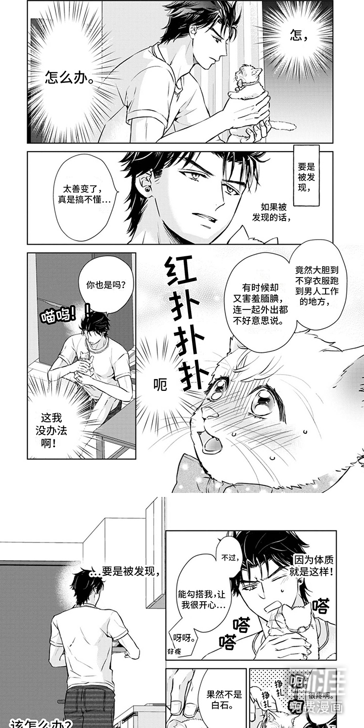 猫女报恩 第8话 第4页