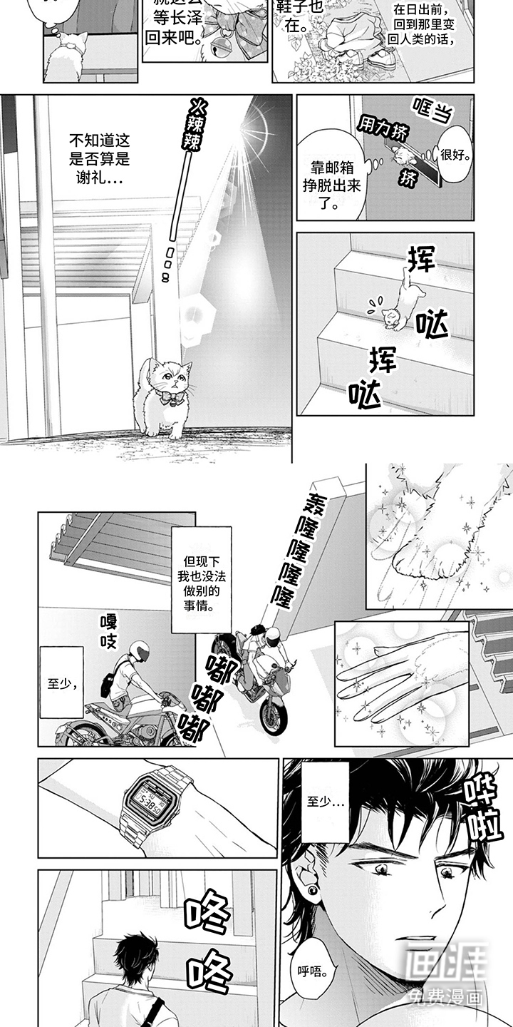 猫女报恩 第9话 第1页