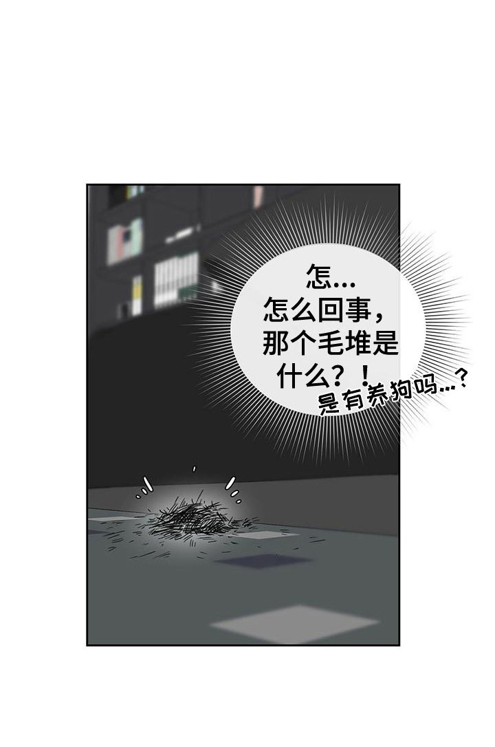 毛茸茸奇遇第2话图