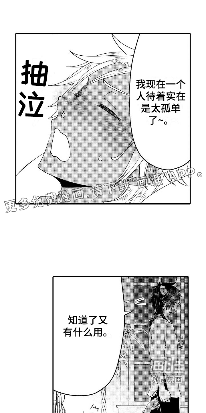 美妙误会第13话图