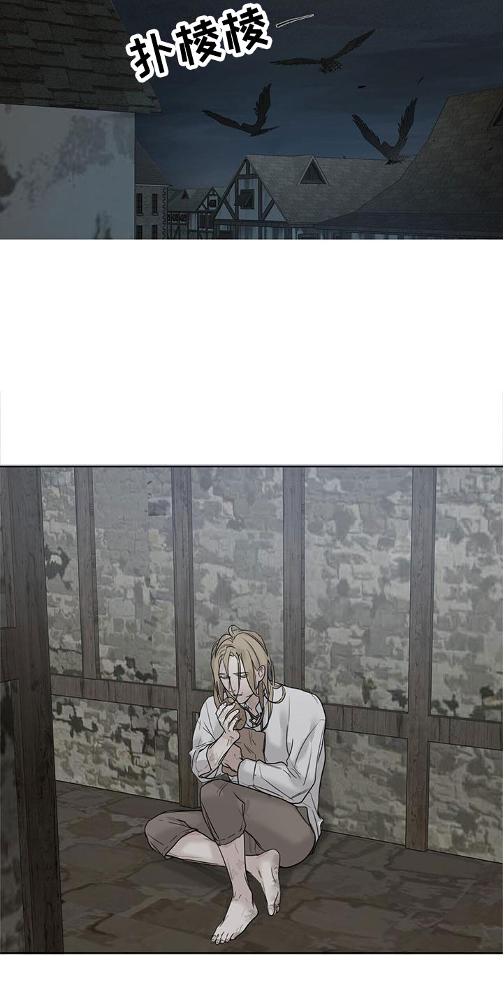 玫瑰庄园第1话图