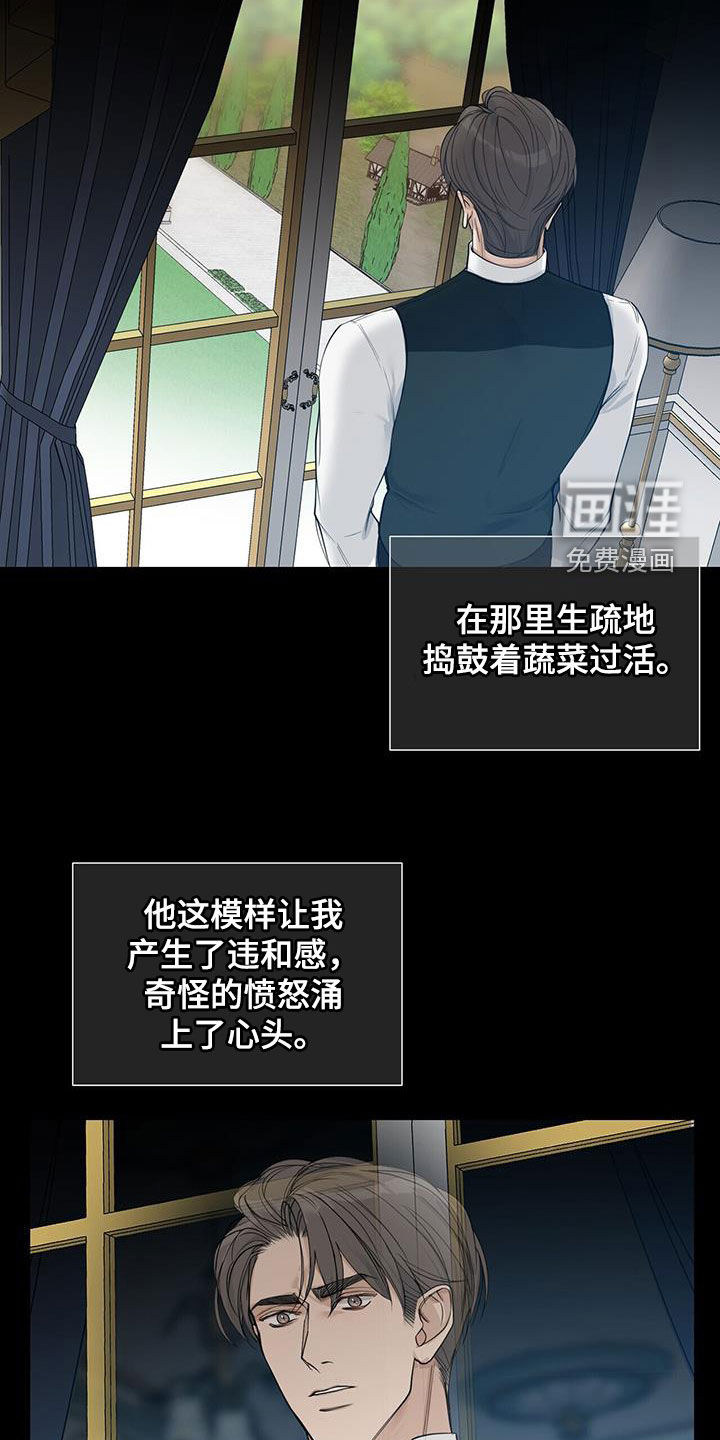 玫瑰庄园第42话图