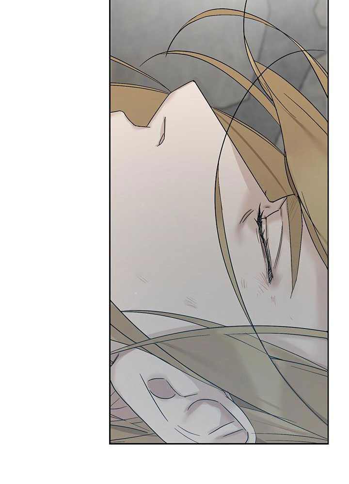 玫瑰庄园第5话图
