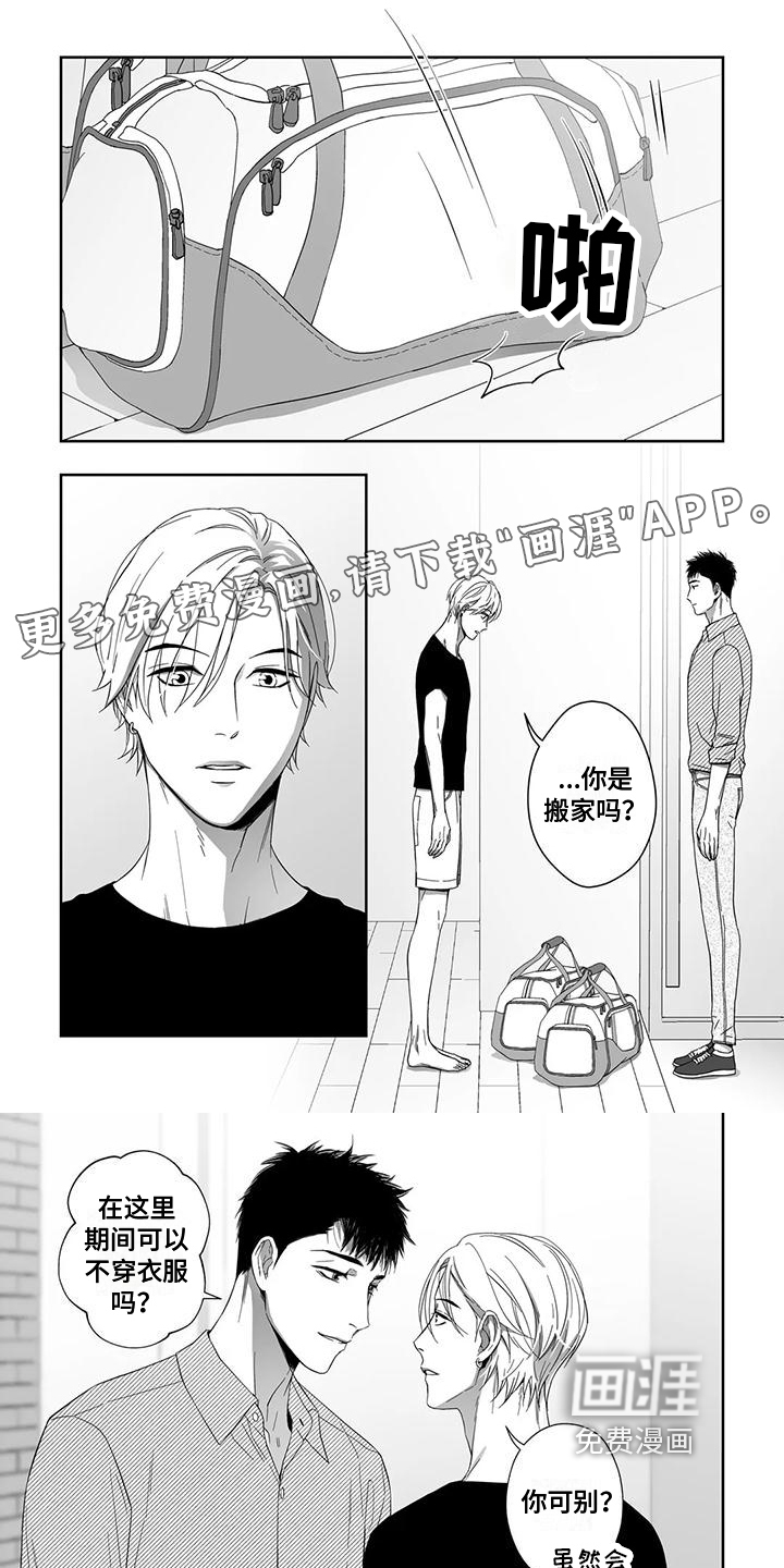 陌生的手第19话图