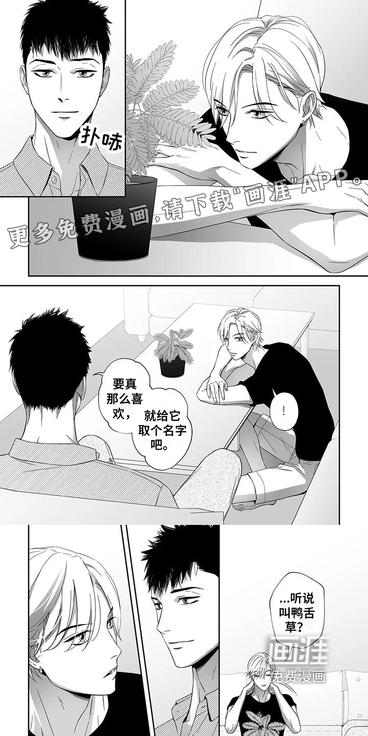 陌生的手第21话图