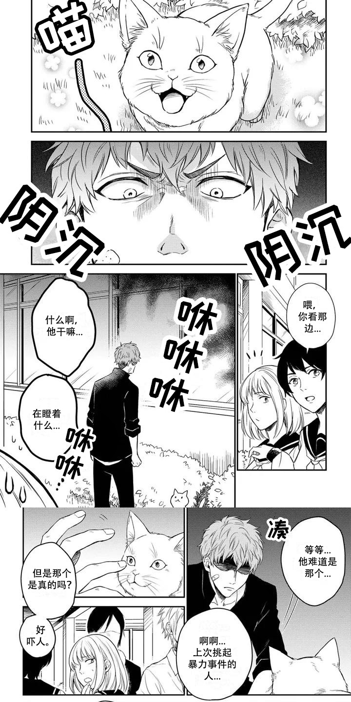 猫系男孩第1话图