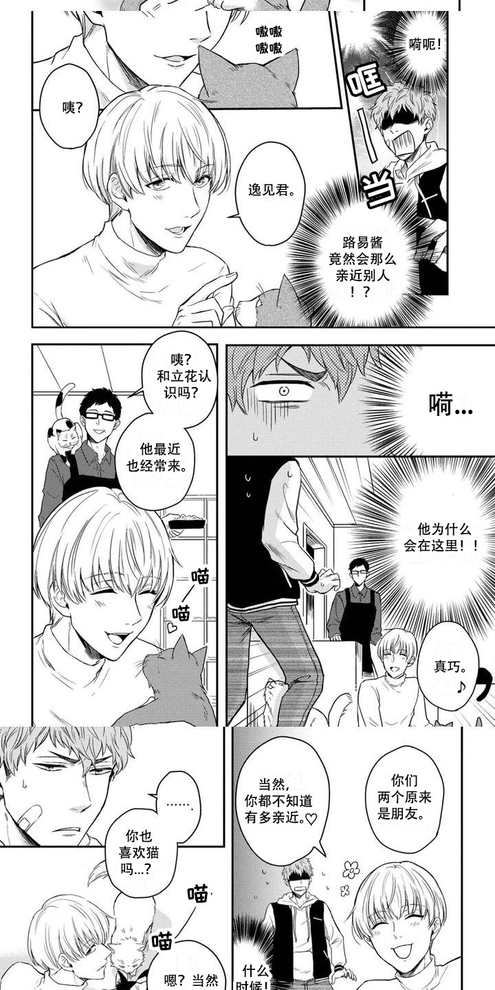 猫系男孩第2话图