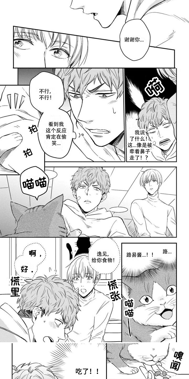 猫系男孩第2话图