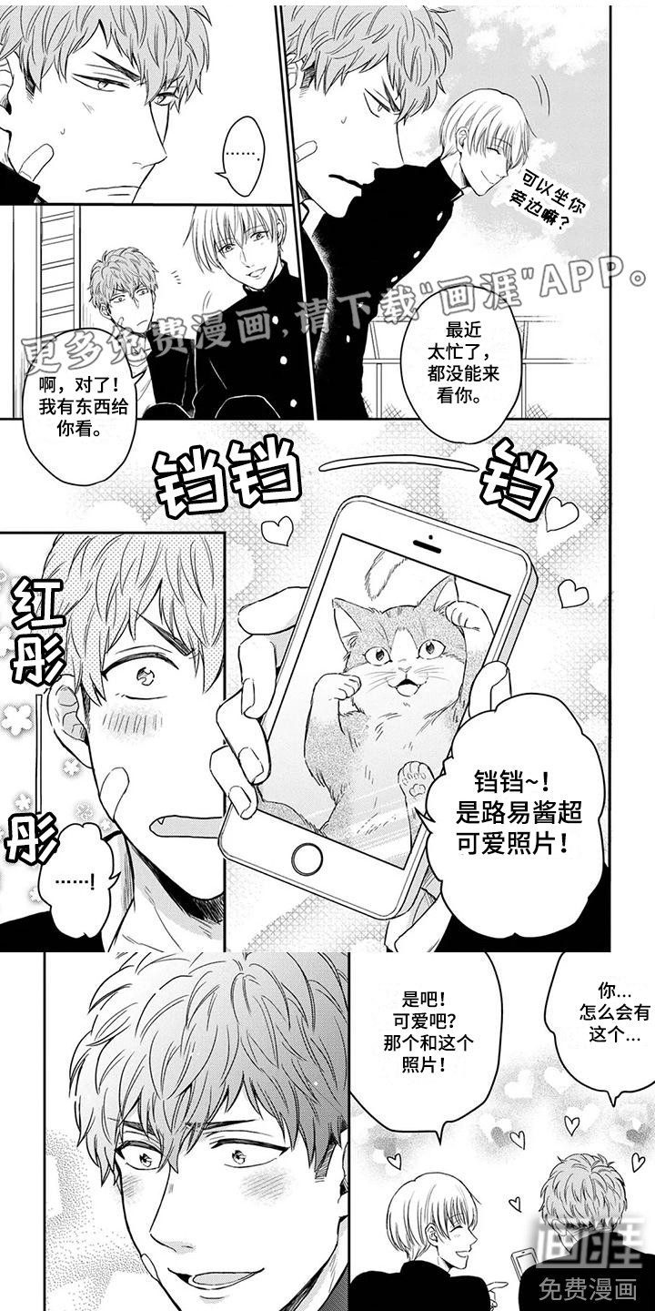 猫系男孩第6话图