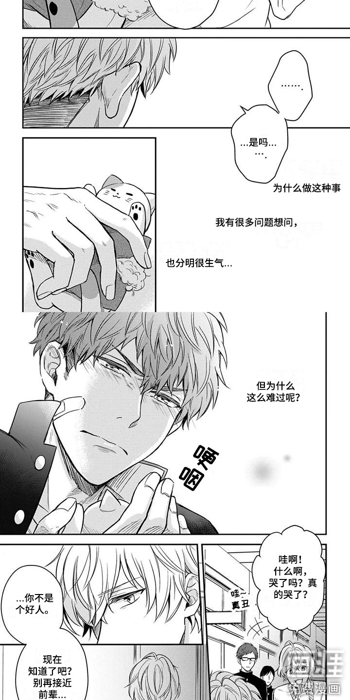 猫系男孩第7话图