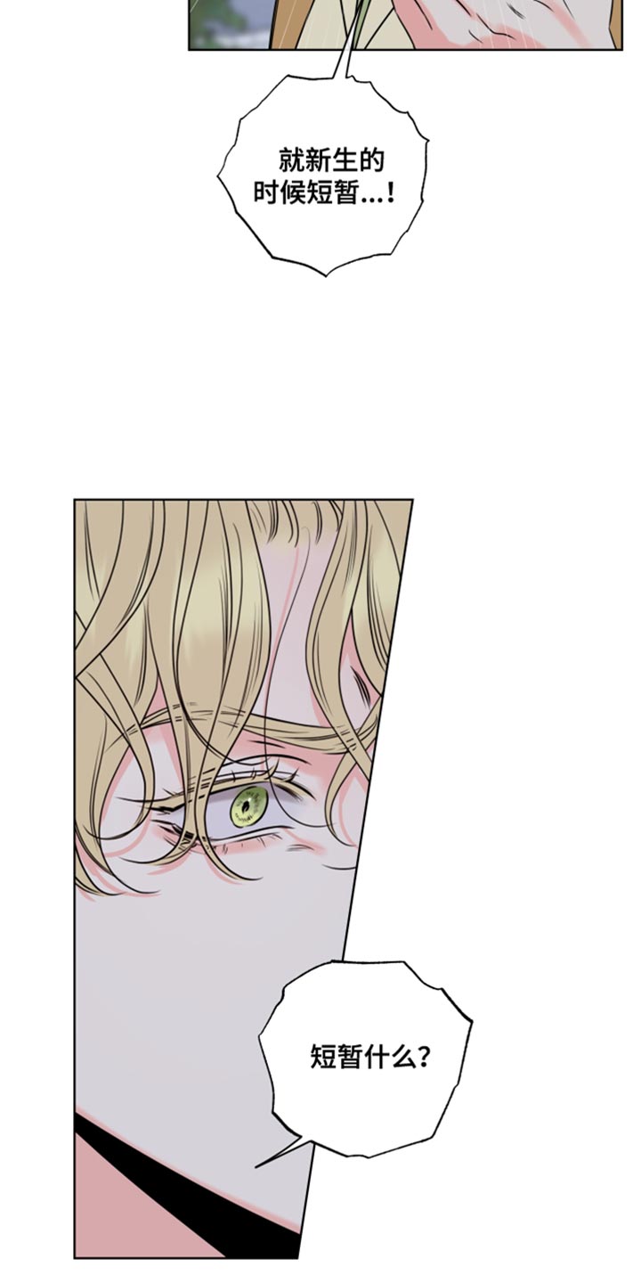 麻烦的爱情 第47话 第14页